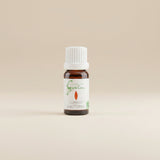 Concentré d'huiles essentielles et végétales Quintessence Lumière d'automne